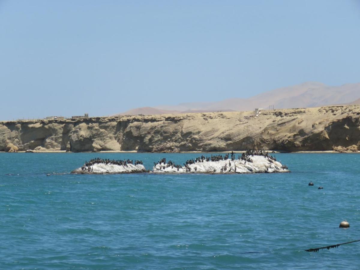 Paracas Apartment